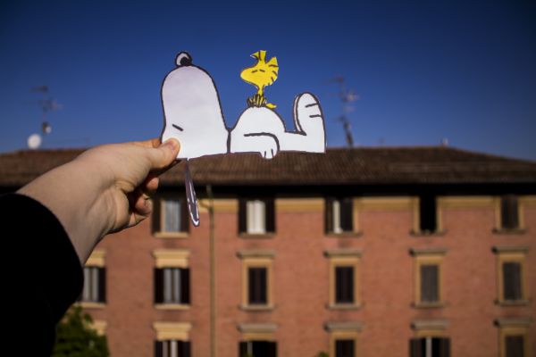 snoopy518C72DE-D04E-0C32-02A5-B9B87DC17059.jpg