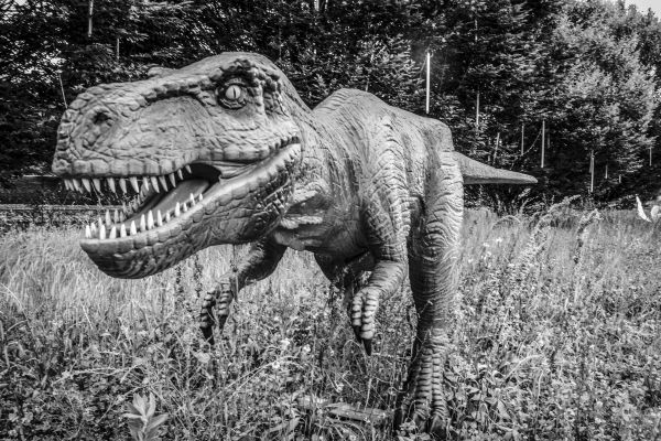 dinosauro-1CE877195-D75B-15F9-A688-30CA453B7354.jpg