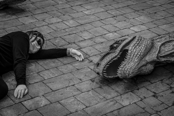 dinosauro-24C48F9B8-1FD1-D11E-F927-BBAAF29B4E54.jpg